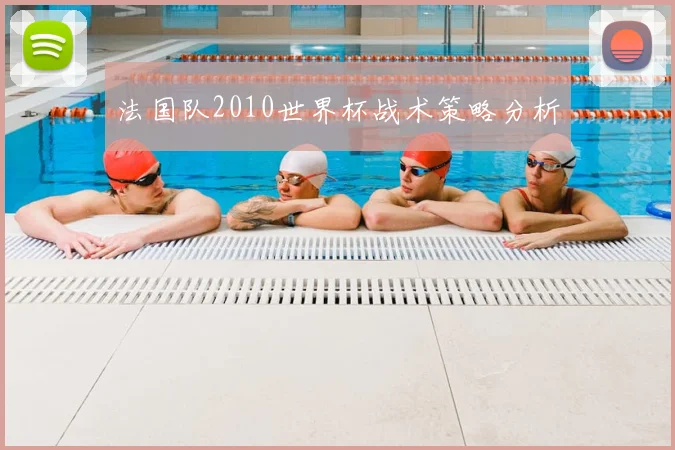 法国队2010世界杯战术策略分析