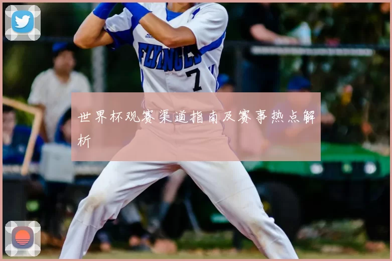 世界杯观赛渠道指南及赛事热点解析